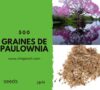 500 Graines de Paulownia