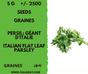 5gr +/- 2500 Graines Persil: Géant D’Italie Algérie