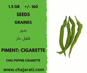 1.5 Gr +/- 160 Graines de piment cigarette Algerie