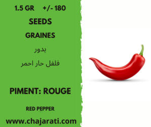 graines piment rouge Algerie
