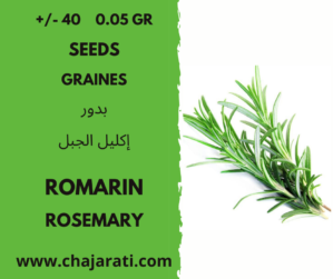 Graines de romarin - Rosemary seeds