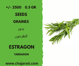 +/- 2500 0.5 Gr graines d'estragon - seeds tarragon Algerie
