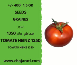 +/- 400 1.5 Gr graines tomate Heinz 1350