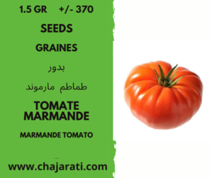 1.5 Gr +/- 370 graines de tomate marmande