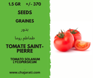 1.5 Gr +/- 370 graines de tomate saint pierre Algerie