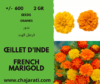 Seeds French marigold – Graines d’ Œillet d’Inde