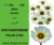 +/- 250 1 Gr graines Chrysanthème Chrysanthemum polar star – Seeds